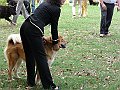 img 181
